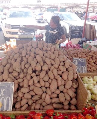Seremi de Agricultura y especulación en el precio de la papa: «En la zona no se han detectado antecedentes»