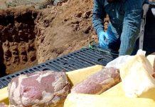 Decomisan 545 kilos de productos lácteos y cárneos en Los Vilos
