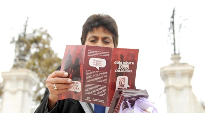 Ordenanza municipal sancionará el acoso callejero en La Serena