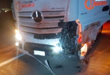 Otro peligro más para conductores en la Ruta 5: Animales sueltos