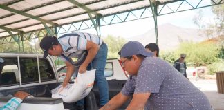 Significativas ayudas fueron entregadas a agricultores y apicultores de Monte Patria