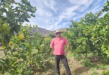 Arduo trabajo en el campo basado en prácticas sostenibles para enfrentar la escasez hídrica