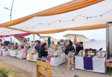 Proyecciones turísticas para febrero van al alza, con un promedio cercano al 80% de ocupación