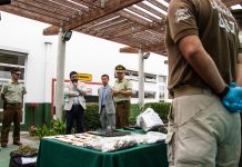 Golpe al narcotráfico: OS7 desarticuló organización con alto poder de fuego que operaba en La Serena y Vicuña