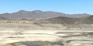 Seremi de Agricultura: En Limarí se vive una crisis hídrica y humanitaria