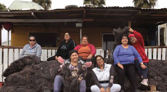 Libro rescata el patrimonio cultural de Playa Changa y sus algueros