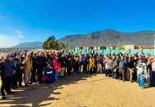 Terminal de buses eléctricos en Coquimbo podrá cargar hasta 22 máquinas de forma paralela