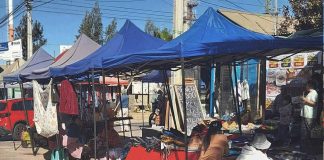 Comerciantes de Ovalle inquietos por inseguridad