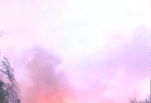 Vecinos de Río Hurtado pasan momentos de terror en incendio