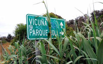 Mejoras y complicaciones de las áreas verdes en La Serena