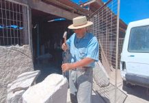 El «Pica piedras» coquimbano