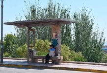 Aprueban por unanimidad ordenanza que regula paraderos para transporte público