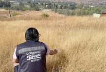 Decretan Alerta Amarilla por altas temperaturas en Limarí: 35 grados