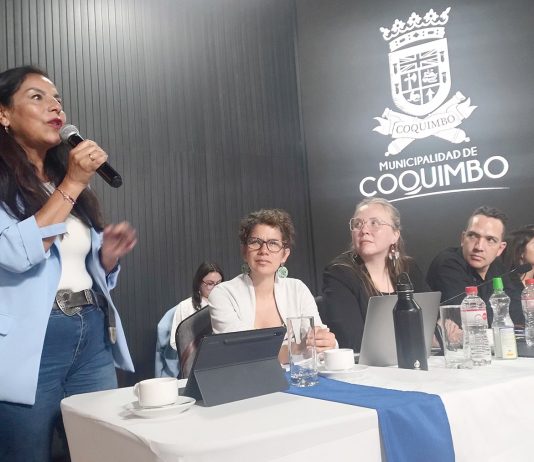 Comisión de Medio Ambiente en Coquimbo es eclipsada por discusiones informales por Dominga