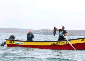 Emocionante jornada se vivió en el Encuentro de Caza Submarina de Los Vilos
