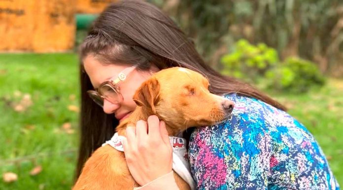 Match-cotas: La Serena potencia su campaña para adoptar animales de compañía
