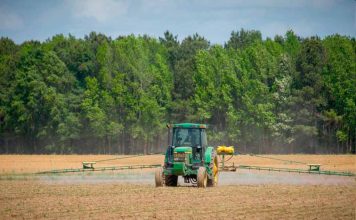 Nueva normativa del SAG sobre aplicación de plaguicidas genera críticas en la agroindustria