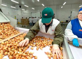 Para replicarlo en Coquimbo: el Sitio de Inspección de fruta en Cabrero