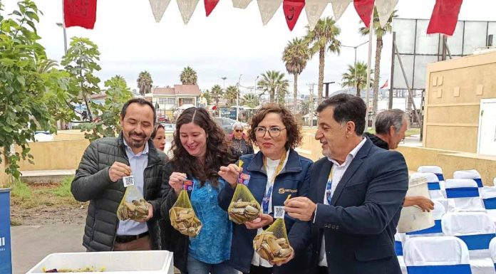 Sernapesca implementa herramientas que mejoran la transparencia en la trazabilidad de los recursos del mar