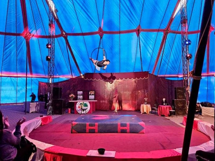 circo-uls