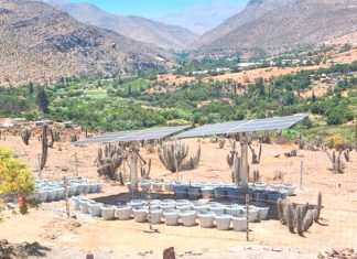 La academia apuesta por el agrivoltismo en zona afectada por la sequía