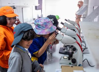 Región de Coquimbo recibe nueva edición del Festival de las Ciencias con foco en el pensamiento crítico