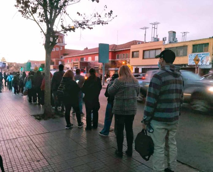 colectivos
