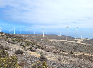 Coquimbo: SMA formula cargos contra Parque Eólico Arrayán
