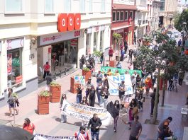 Marcha «No a Dominga» culminó frente al GORE