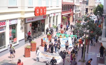 Marcha «No a Dominga» culminó frente al GORE