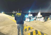 Tripulante holandés muere electrocutado en buque factoría