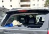 Concejal y entrenador sufren robo de pertenencias en condominio de La Herradura