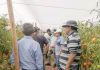 Pequeños agricultores del Valle del Palqui acusan que la burocracia del SAG está matando la temporada