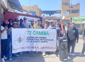 Pescadores artesanales se manifestaron por presencia de flota china y baja en captura de jibia