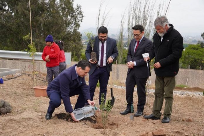 foto_0000001120251028155519