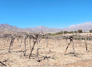 INDH propone medidas al Estado para enfrentar los efectos de la crisis hídrica en el Limarí