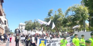 La huelga comenzó el viernes 7 de noviembre, tras el rechazo de la última oferta presentada por la fundación, que incluía un reajuste de 1,2% cuando se esperaba un poco más del 6% y un incremento menor en los bonos de movilización y colación.