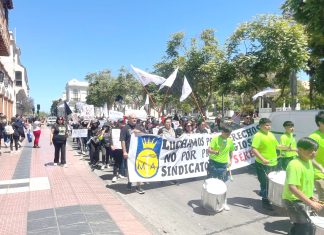 La huelga comenzó el viernes 7 de noviembre, tras el rechazo de la última oferta presentada por la fundación, que incluía un reajuste de 1,2% cuando se esperaba un poco más del 6% y un incremento menor en los bonos de movilización y colación.