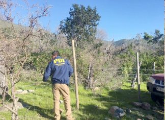 Nuevo robo en los campos de Ovalle: uno tras otro con descaro