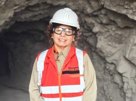 Hierro de Coquimbo es declarado mineral estratégico y será clave para potenciar el «acero verde»