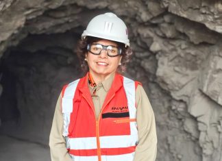 Hierro de Coquimbo es declarado mineral estratégico y será clave para potenciar el «acero verde»