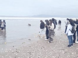 Sin resultados finaliza la rebusca del joven argentino perdido en el mar