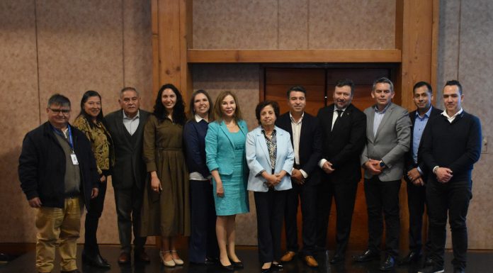 Minerales estratégicos: Coquimbo se proyecta como eje de la nueva minería chilena