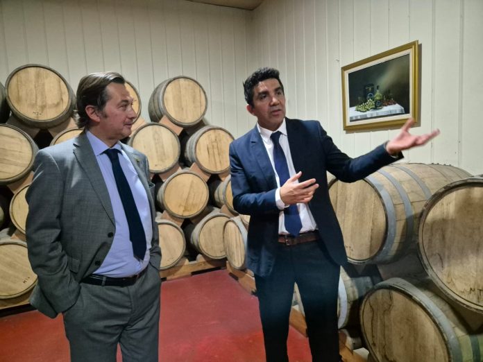 WhatsApp Image 2025-11-05 at 07.27.29