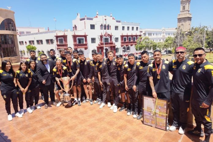 WhatsApp-Image-2025-11-12-at-2.33.38-PM-894x596