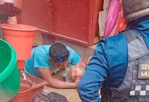 Señora estuvo más de dos horas en el suelo tras caída en la vía pública esperando ambulancia