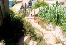 Vecinos se quejan que algunos zigzags de la Parte Alta solo sirven para juntar maleza y basura