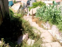 Vecinos se quejan que algunos zigzags de la Parte Alta solo sirven para juntar maleza y basura