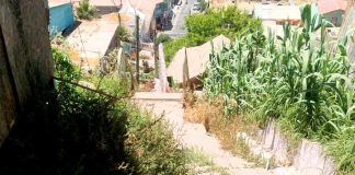 Vecinos se quejan que algunos zigzags de la Parte Alta solo sirven para juntar maleza y basura