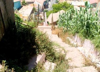 Vecinos se quejan que algunos zigzags de la Parte Alta solo sirven para juntar maleza y basura